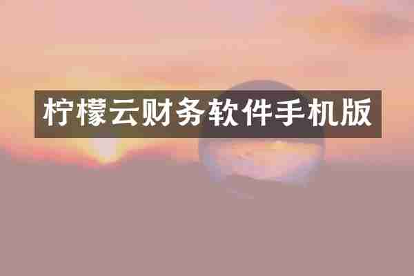 柠檬云财务软件手机版