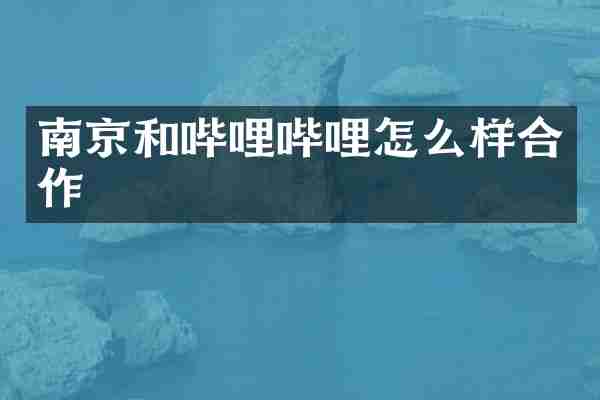 南京和哔哩哔哩怎么样合作