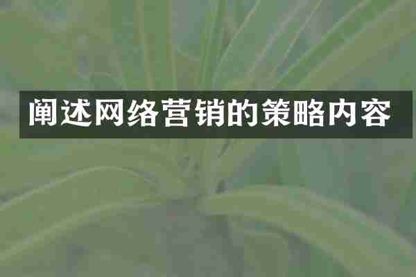 阐述网络营销的策略内容