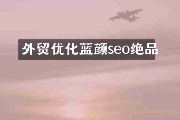 外贸优化蓝颜seo绝品