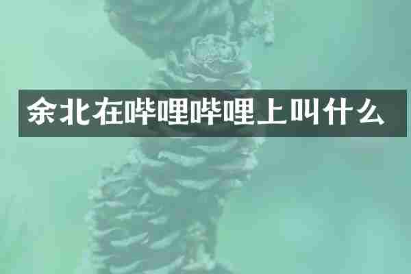 余北在哔哩哔哩上叫什么
