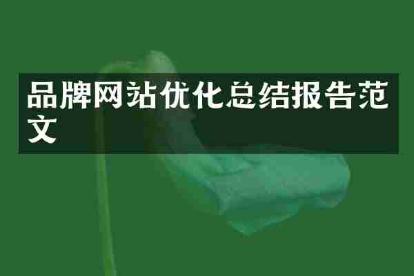 品牌网站优化总结报告范文