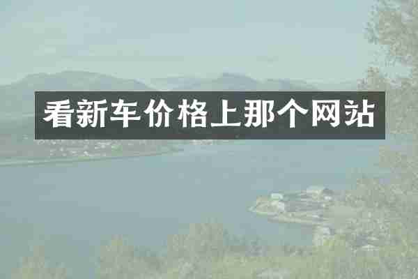 看新车价格上那个网站