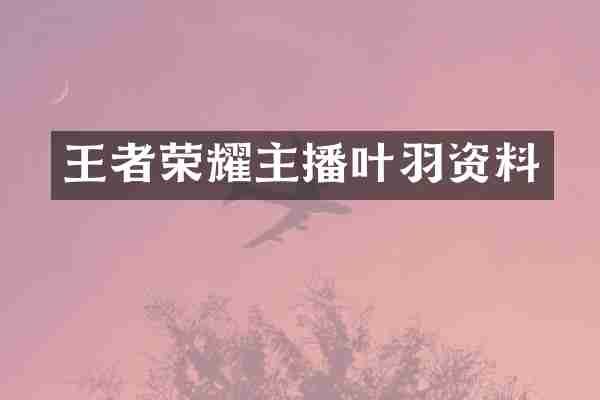 王者荣耀主播叶羽资料