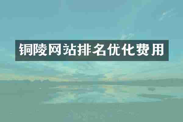 铜陵网站排名优化费用