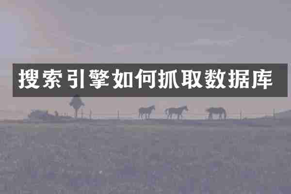 搜索引擎如何抓取数据库