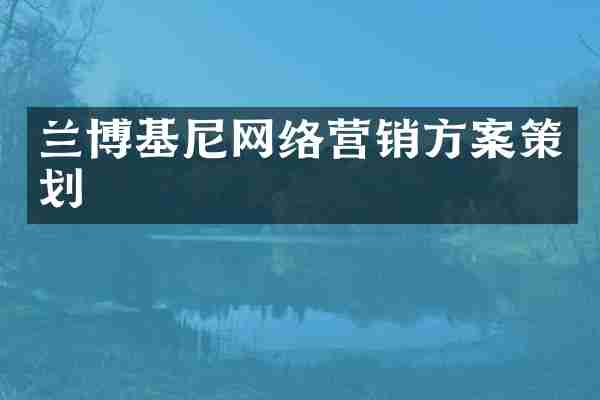 兰博基尼网络营销方案策划