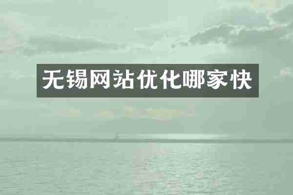无锡网站优化哪家快