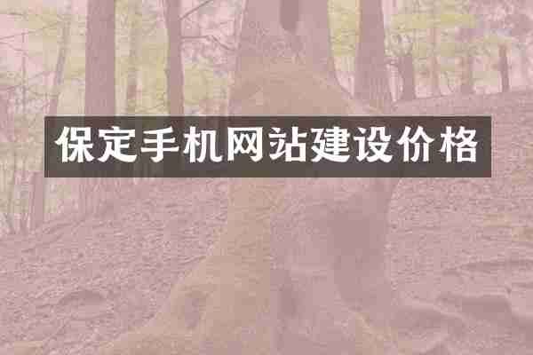 保定手机网站建设价格