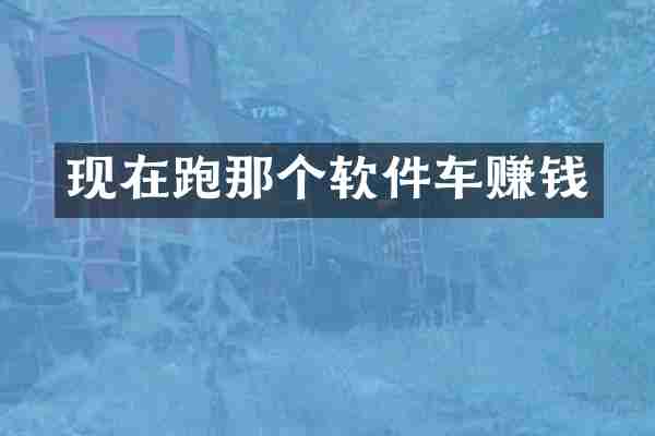 现在跑那个软件车赚钱