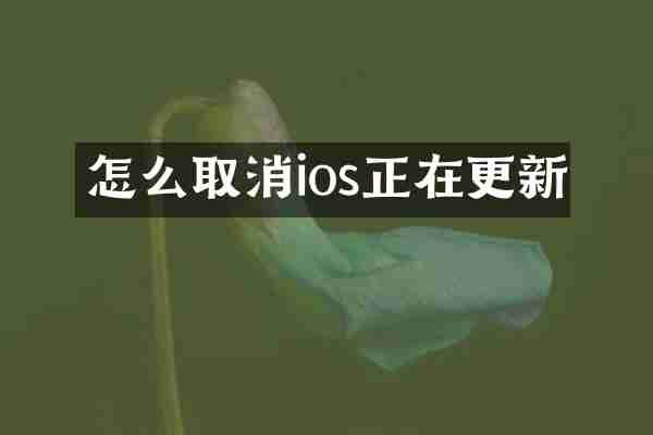 怎么取消ios正在更新