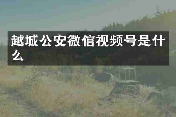 越城公安微信视频号是什么