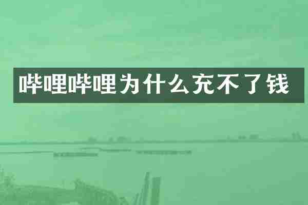 哔哩哔哩为什么充不了钱