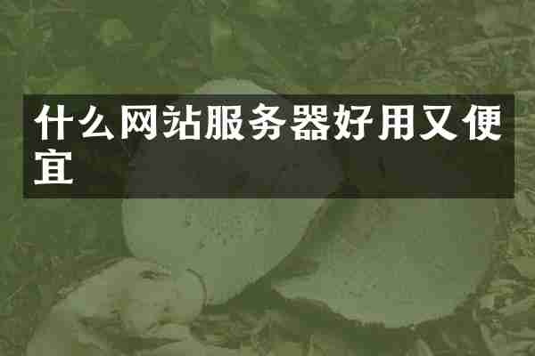 什么网站服务器好用又便宜