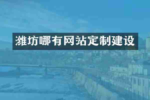 潍坊哪有网站定制建设