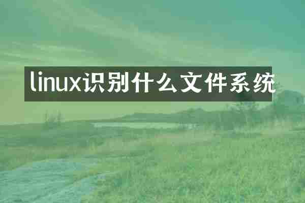 linux识别什么文件系统