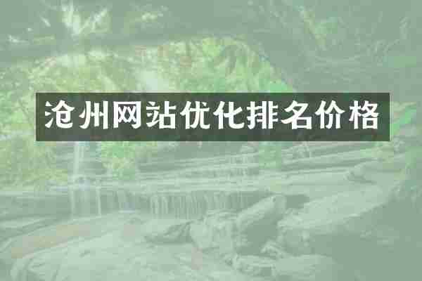沧州网站优化排名价格