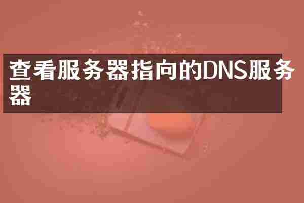 查看服务器指向的DNS服务器