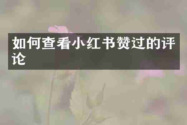 如何查看小红书赞过的评论
