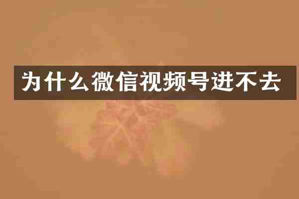 为什么微信视频号进不去