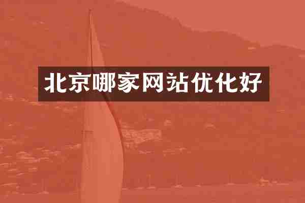 北京哪家网站优化好