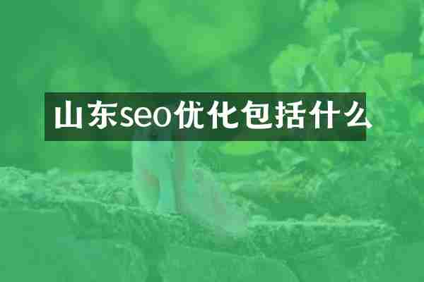 山东seo优化包括什么