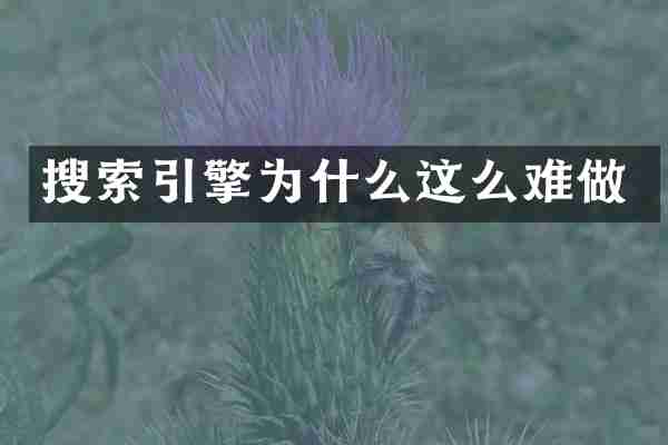 搜索引擎为什么这么难做