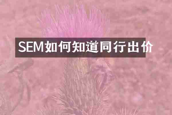 SEM如何知道同行出价
