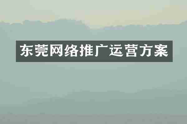 东莞网络推广运营方案