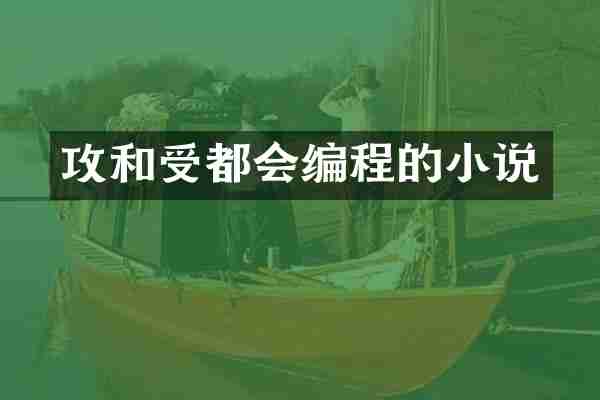 攻和受都会编程的小说