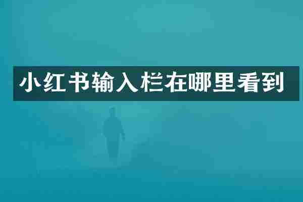 小红书输入栏在哪里看到