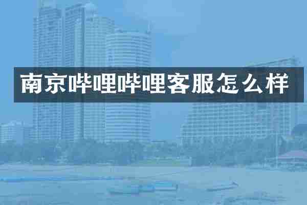 南京哔哩哔哩客服怎么样