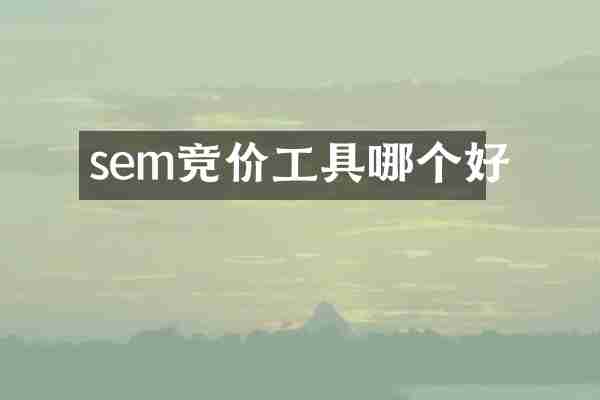 sem竞价工具哪个好