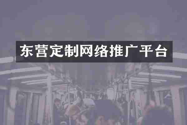 东营定制网络推广平台