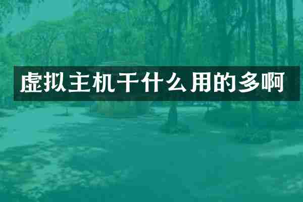 虚拟主机干什么用的多啊