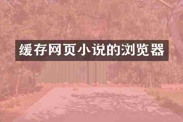 缓存网页小说的浏览器