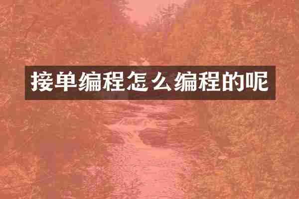 接单编程怎么编程的呢