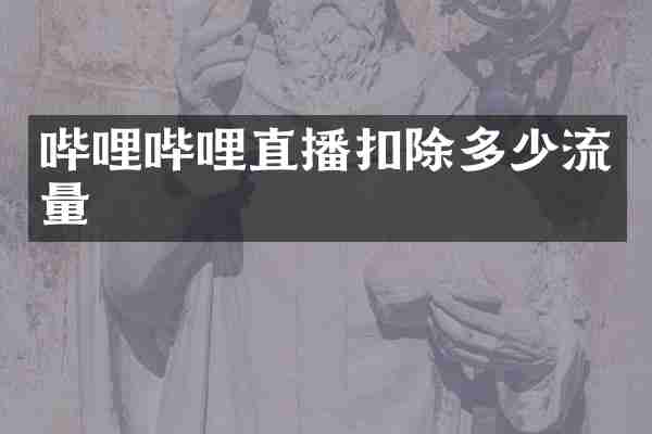 哔哩哔哩直播扣除多少流量