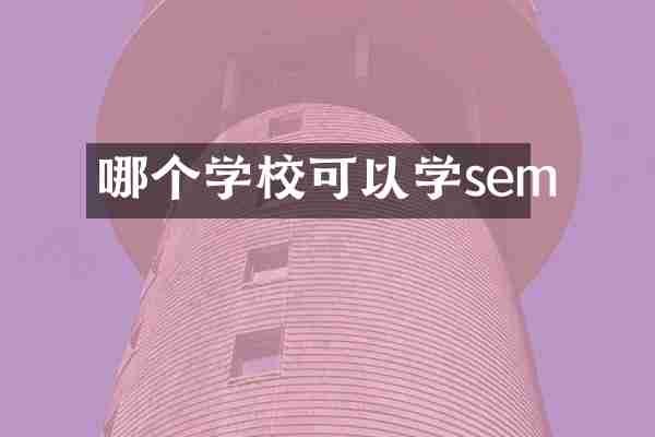 哪个学校可以学sem