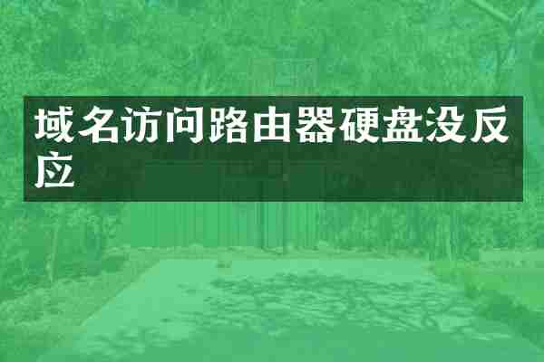 域名访问路由器硬盘没反应