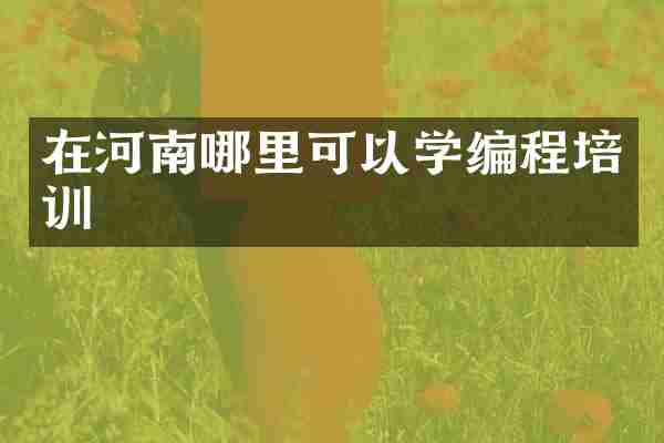 在河南哪里可以学编程培训