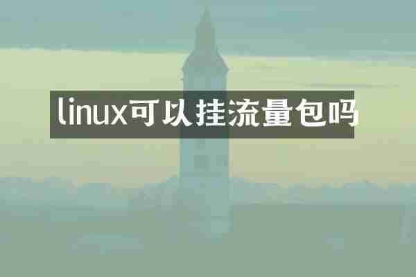 linux可以挂流量包吗