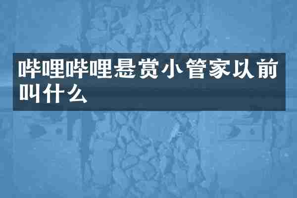 哔哩哔哩悬赏小管家以前叫什么
