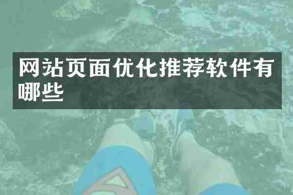 网站页面优化推荐软件有哪些