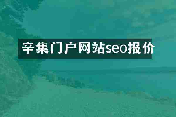 辛集门户网站seo报价