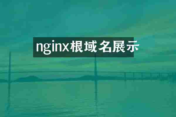 nginx根域名展示