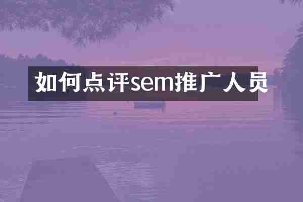 如何点评sem推广人员