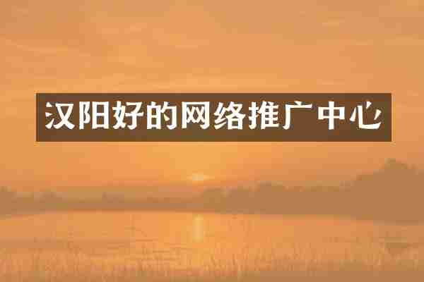 汉阳好的网络推广中心