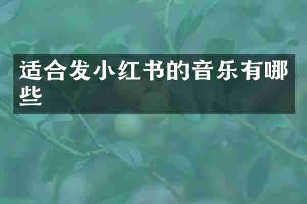 适合发小红书的音乐有哪些