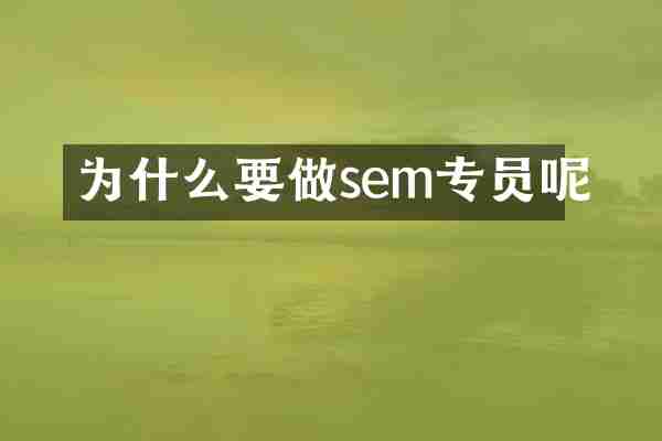为什么要做sem专员呢